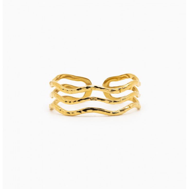 ANILLO DANA